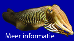 Informatie voor nieuwe leden Informatie voor nieuwe leden